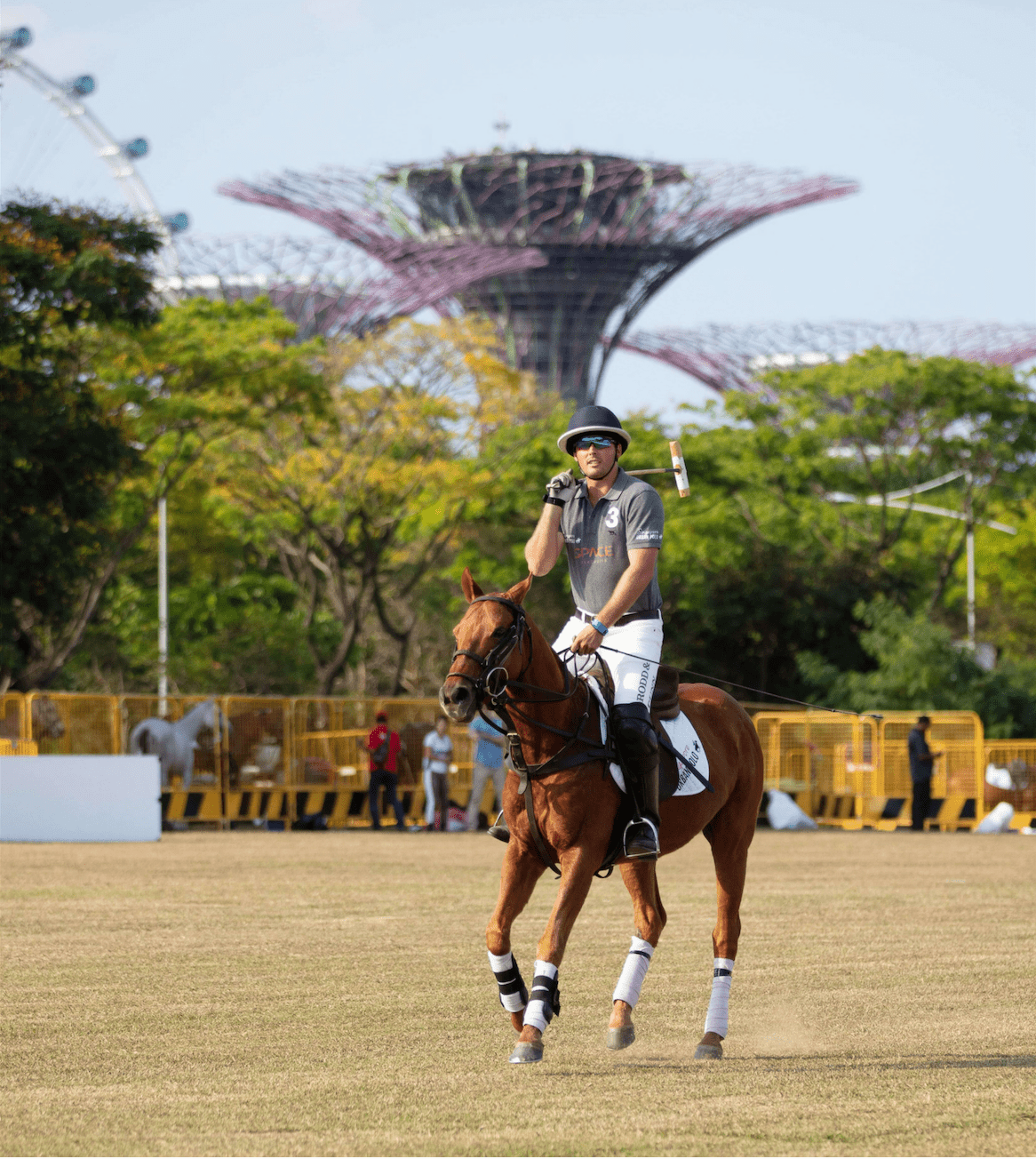man playing polo in front of gardens by the bay super trees singapore